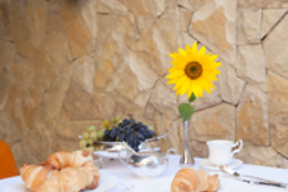 Garden Spa Boutique Hotel