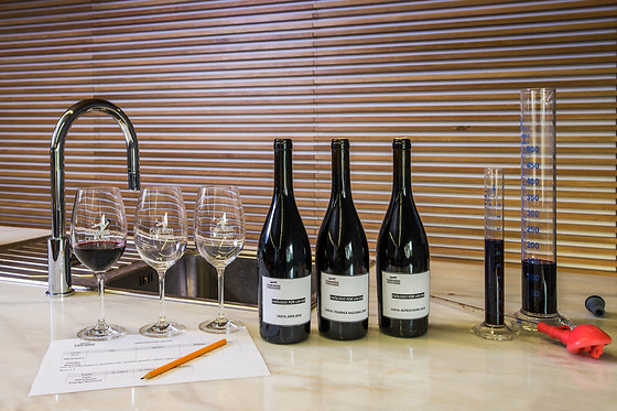 Peddy Paper para 2 |  Caminhos Cruzados em Nelas, Viseu