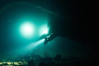 Exploração Subaquática para Mergulhadores Certificados | Anthia Diving Center, Sesimbra (Setúbal)