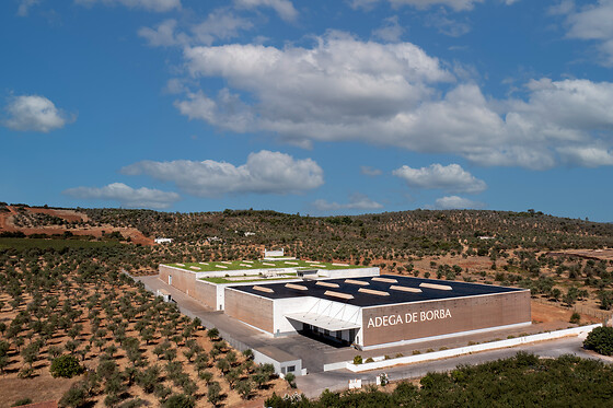 Adega de Borba - photo 4