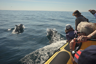 Passeios de Barco