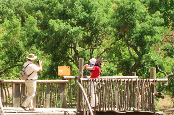 Parques temáticos