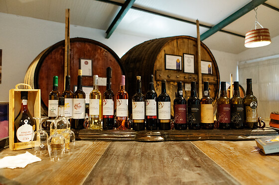 Uma visita guiada à Adega com prova de vinhos para 2 em Adega Cooperativa de Sabrosa em Sabrosa (Vila Real)
