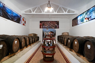 Uma visita guiada à Adega com prova de vinhos para 2 em Adega Cooperativa de Sabrosa em Sabrosa (Vila Real)