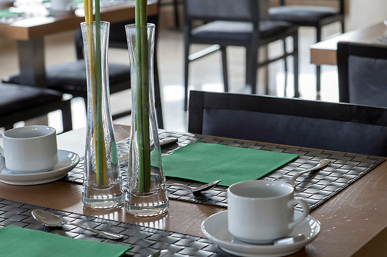HOTEL PLAZA LAS MATAS - photo 4