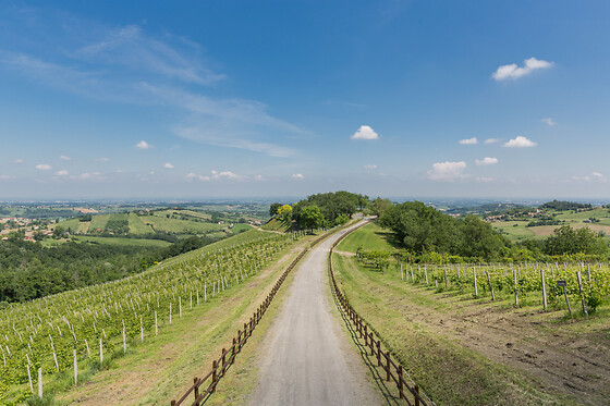 Cantina Il Poggio - photo 3