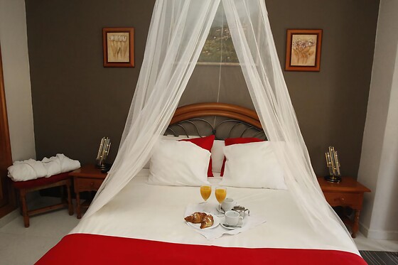 HOTEL ARGOS MURCIA - photo 15