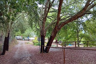 Duas noites em Bungalow para 2 em Parque de Campismo e Caravanismo de Pedrógão Grande em Pedrógão Grande (Leiria)