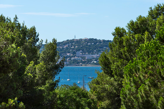 Hôtel Ibis - photo 8
