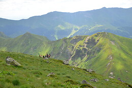 Randorespi