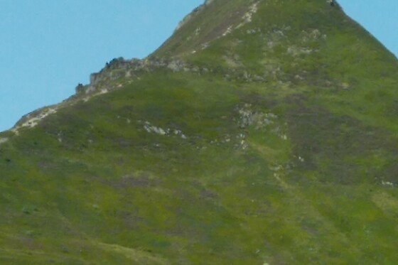 Randorespi - photo 6