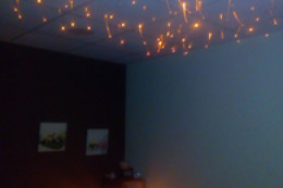 WELLNESS AVENIDA
