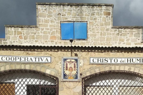 CURSO CATA DEL VINO - photo 0