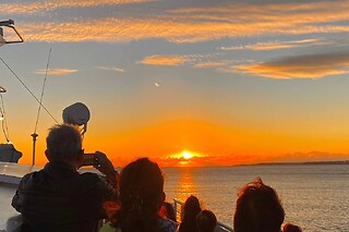 Passeio de barco ao pôr do sol no Rio Tejo + Mimo gastronómico para 2 | Veltagus - Lisboa