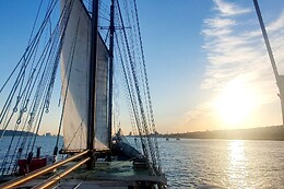 Veltagus