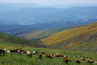 BTTour na Serra da Freita para 1 | NaTour Way - Arouca