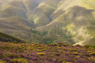 BTTour na Serra da Freita para 1 | NaTour Way - Arouca