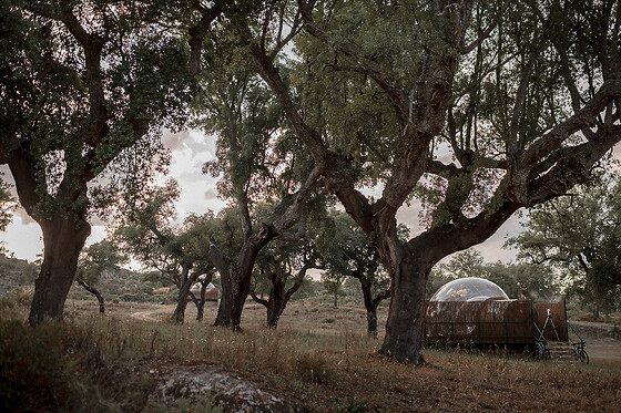 FINCA EL CORTIÑAL - photo 15