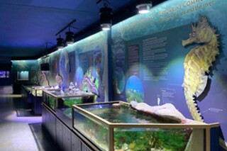 Bilhete para 2 | Museu de Marinha em Belém (Lisboa)