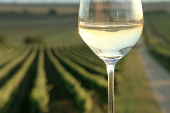 BODEGA GARGALO - photo 2