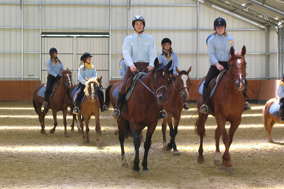 Haras maison blanche - photo 0