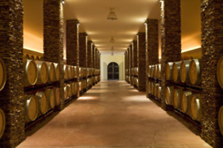 Visita à Adega com Prova de Vinhos para 2 Pessoas | Herdade dos Grous