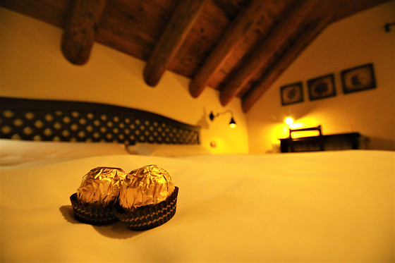 HOTEL RURAL EL MIRADOR DE LOS PIRINEOS - photo 17