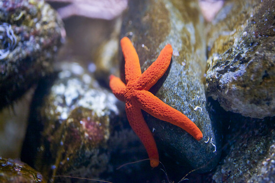 Aquarium de Paris - photo 3