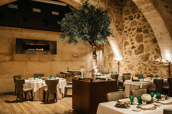 HOSPES PALACIO DE SAN ESTEBAN - photo 13