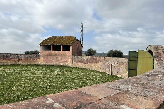 Visita à fazenda de touros bravos para 2 com a Casa Turquesa & Villas Campus na Corredoura (Santarém)