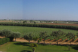 QUINTA DO CARNEIRO
