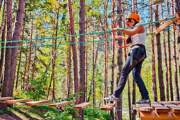 Natura Game