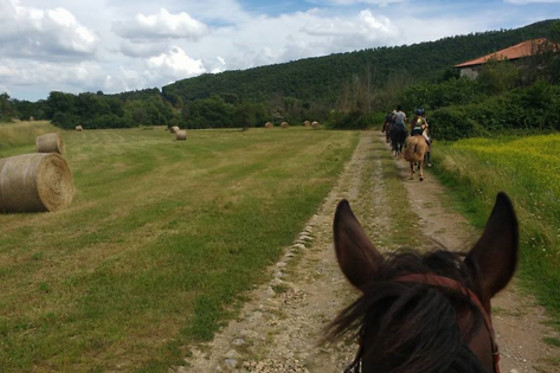 ASD La Natura A Cavallo - photo 0