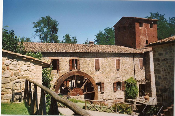 ASD La Natura A Cavallo - photo 1