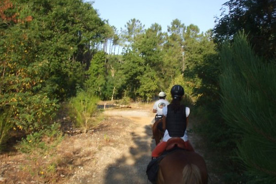 ASD La Natura A Cavallo - photo 3