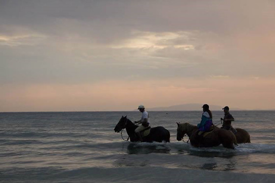 ASD La Natura A Cavallo - photo 4