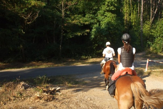ASD La Natura A Cavallo - photo 6