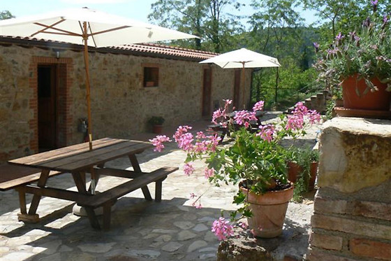 ASD La Natura A Cavallo - photo 7