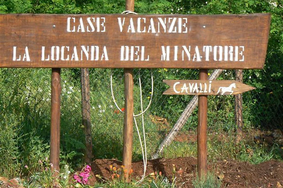 ASD La Natura A Cavallo - photo 9