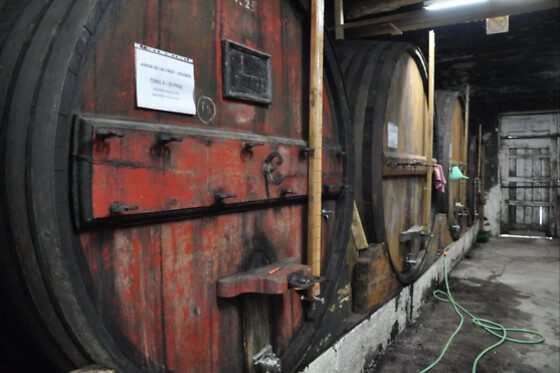 Visita Guiada + Prova de Vinhos para 2 | Quinta do Beijo, Sabrosa (Vila Real)