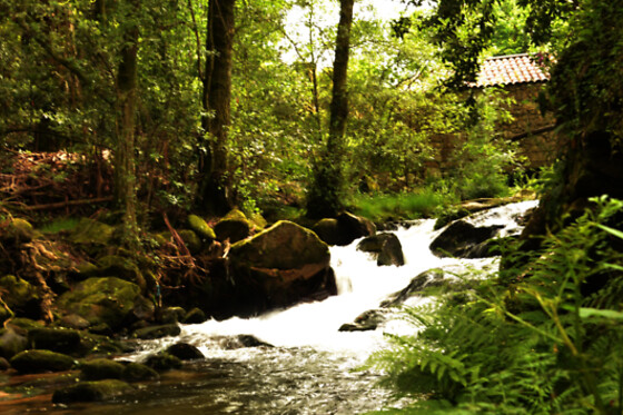 MELGAÇO WHITEWATER - photo 0