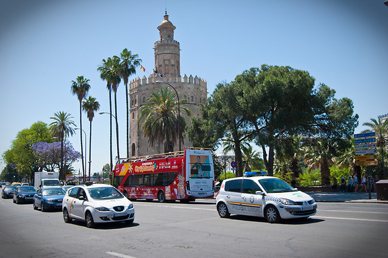 CITY SIGHTSEEING SEVILLA - photo 6
