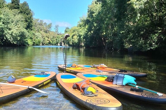 Passeio de stand up paddle pelo rio Paiva para 1 com a Supbuddypt em Souselo (Viseu)
