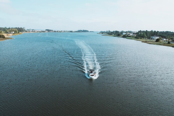 Passeio na Ria de Aveiro com a Aventuras Náuticas - Ovar | Até 7 pessoas