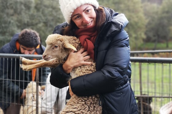 Meio dia Rural com Pastoreio para 2 em Beir'aja em Penamacor (Castelo Branco)