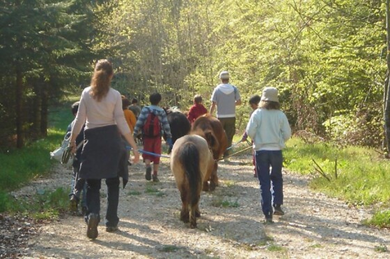 Ferme Le Bochet - photo 8