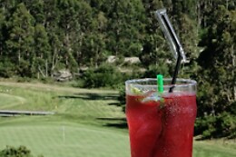 BOM SUCESSO RESORT*****