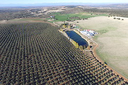 FINCA LA PONTEZUELA