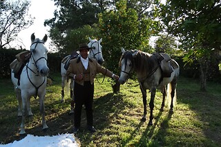 Batismo Equestre para 2 | Coudelaria Rita Cotrim, Golegã (Santarém)