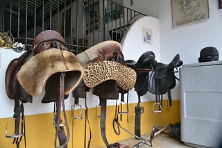 Batismo Equestre para 2 | Coudelaria Rita Cotrim, Golegã (Santarém)